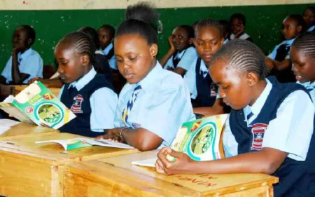 Grade 9 Transition: Some CBC Subjects Lack Qualified Teachers - Hon. Mbui