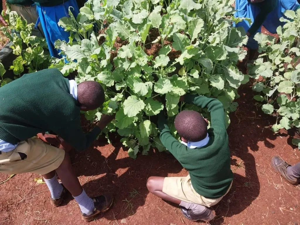 Dominic Orina: Kenyan Teacher Transforming Lives and Nominated for KSh 129m Global Prize.