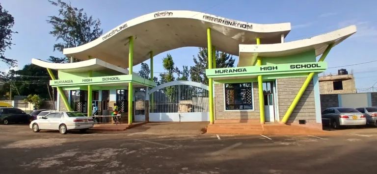 Central Region's Academic Powerhouses Excel in KCSE 2024