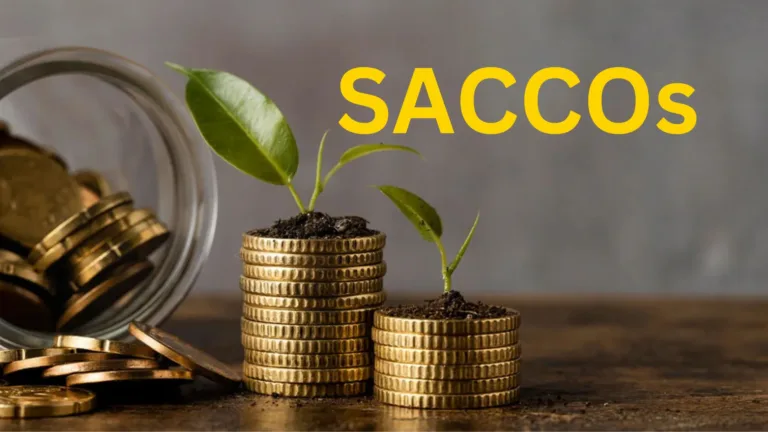 List of Best SACCOs in Kenya Paying Dividends as High as 20%