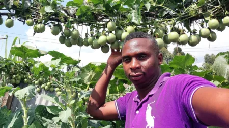 Dominic Orina: Kenyan Teacher Transforming Lives and Nominated for KSh 129m Global Prize