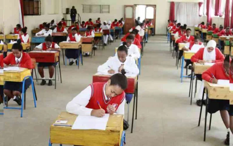 School Principals: Teacher Strikes and High Fees Behind Mass KCSE 2024 Failures