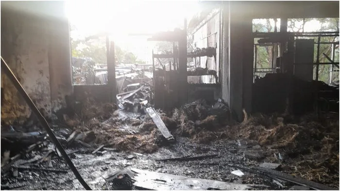 Midnight Blaze Ravages University of Nairobi: Aftermath [Photos].