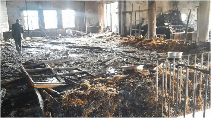 Fire Wreaks Havoc at University of Nairobi: Key Details Unveiled [Photos]
