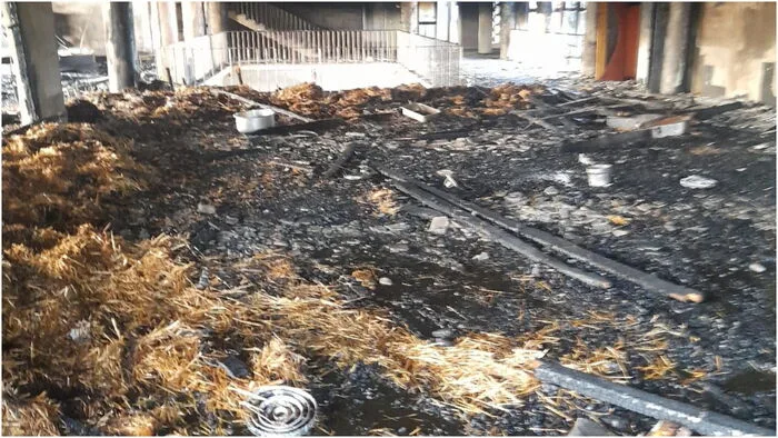 Tragic Blaze Strikes University of Nairobi: Extent of Damage Revealed [Photos]
