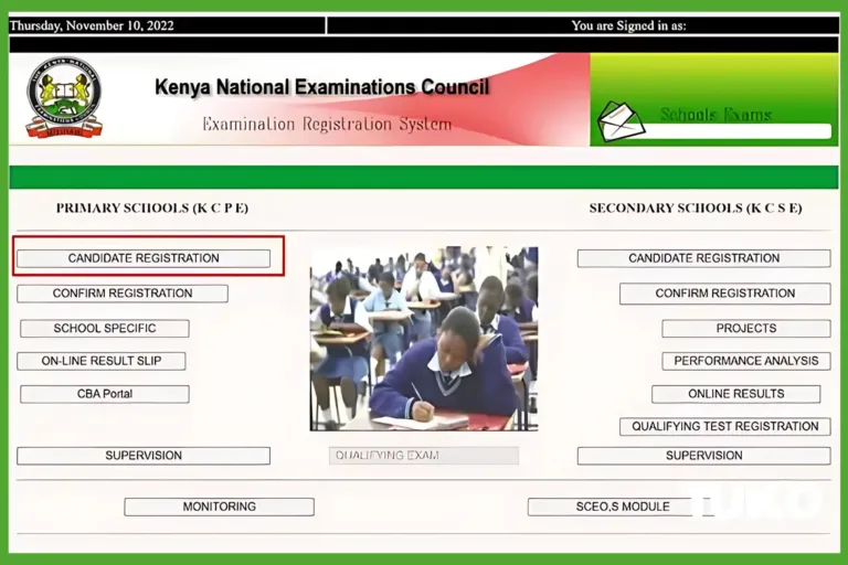 KNEC Portal: Exams, Results, Registration, and Guidelines in Kenya