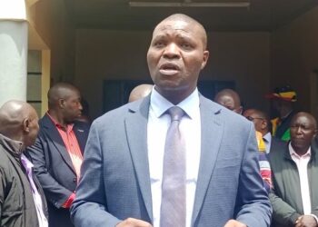 Gichugu MP Calls for NG-CDF to Be Anchored in Constitution